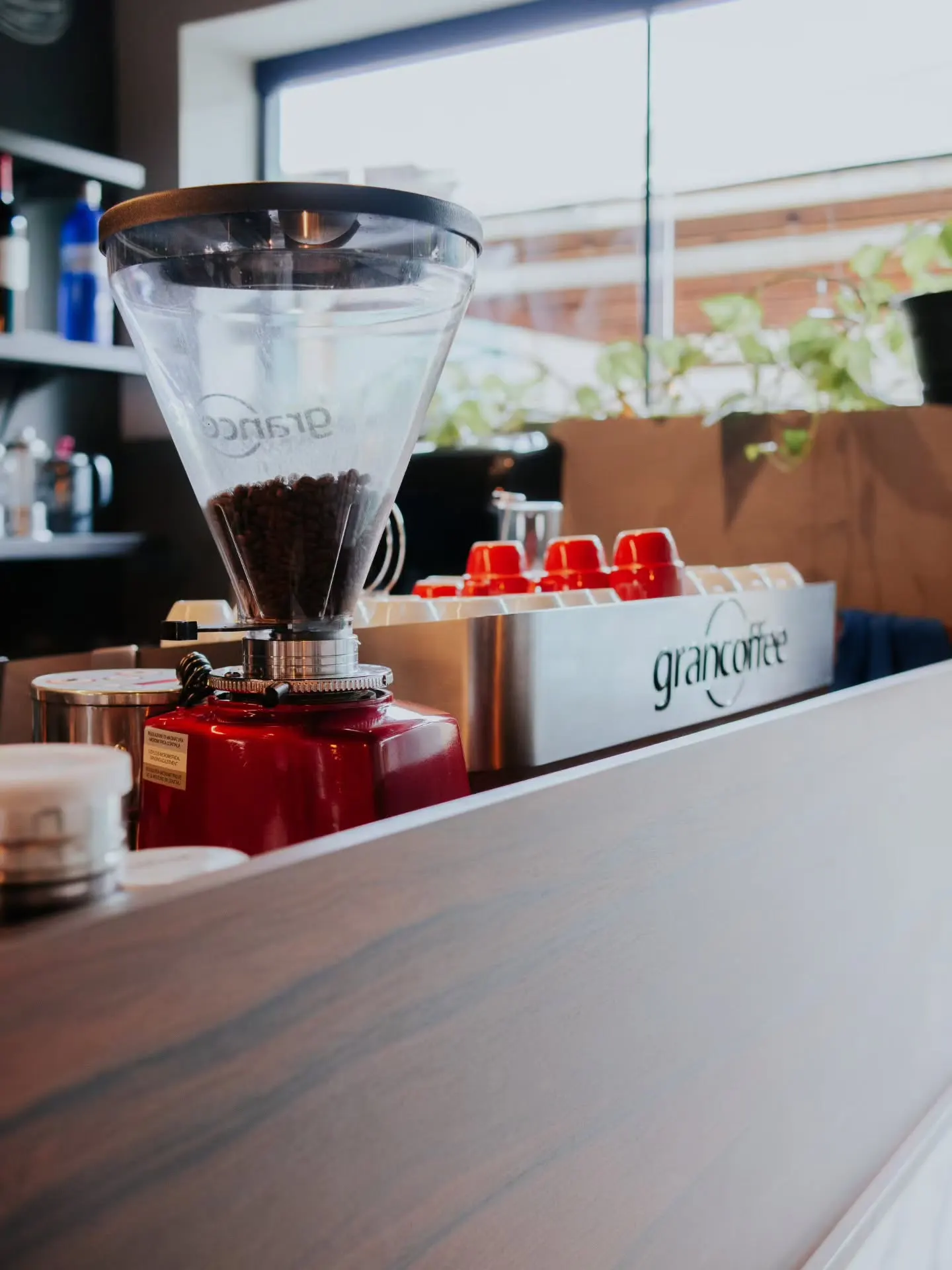Grãos de café e flores secas em vidro iluminados pela janela da Duo Coffee